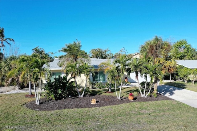 obstructed view of property featuring a front lawn