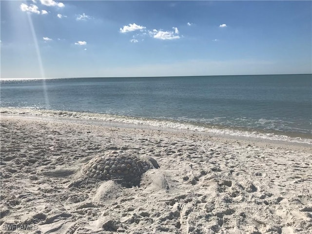 view of water feature featuring a beach view