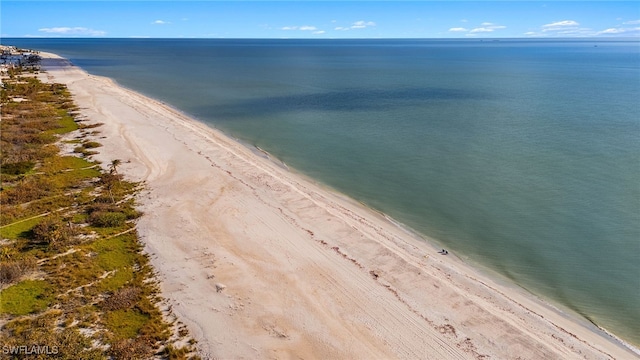 view of water feature with a beach view