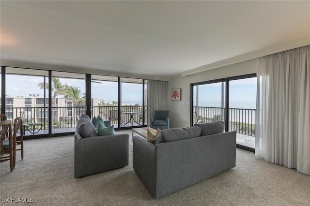 carpeted living room featuring expansive windows