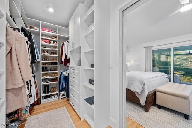 spacious closet with light hardwood / wood-style floors