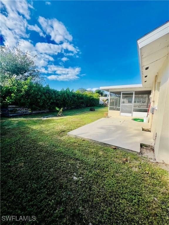 view of yard featuring a patio and a sunroom