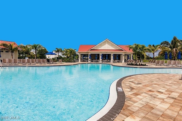 view of swimming pool with a patio