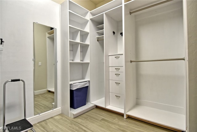 walk in closet featuring wood-type flooring