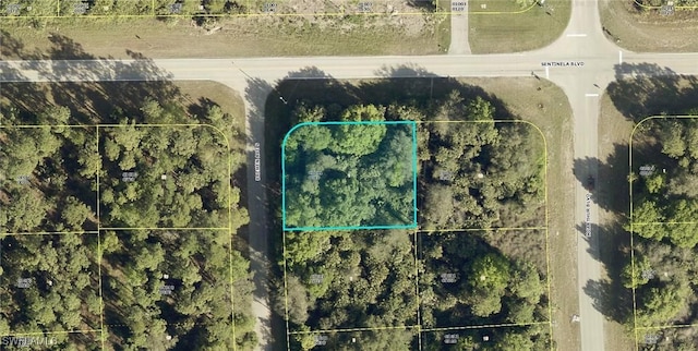 121 Bremen Ave S, Lehigh Acres FL, 33974 land for sale