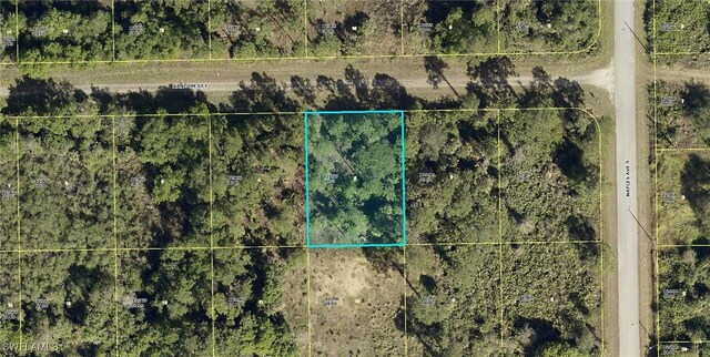 1242 Random St E, Lehigh Acres FL, 33974 land for sale