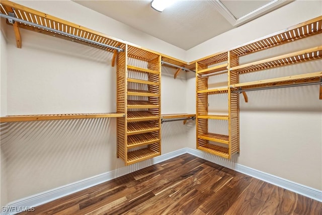 spacious closet with hardwood / wood-style floors