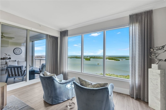 sitting room with light hardwood / wood-style flooring, a healthy amount of sunlight, and a water view