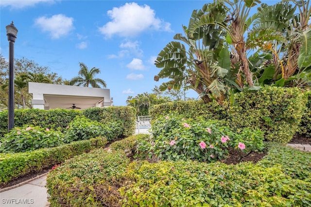 907 Reef Point Cir, Naples, FL 34108 - view of yard