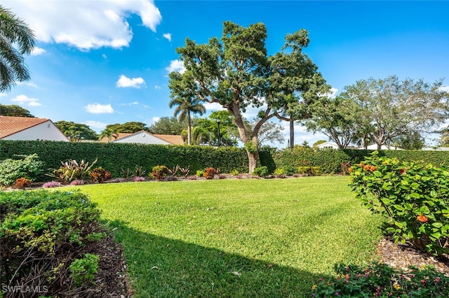 907 Reef Point Cir, Naples, FL 34108 - view of grassy yard
