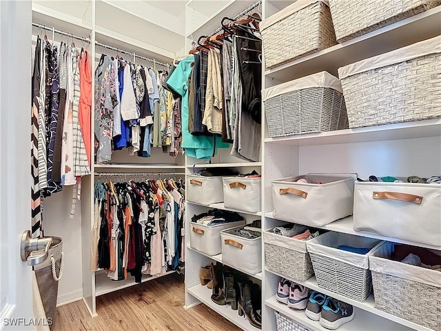 spacious closet with hardwood / wood-style flooring