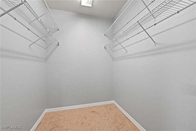 view of walk in closet