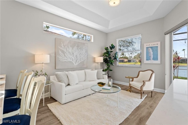 living room with a tray ceiling and light hardwood / wood-style flooring