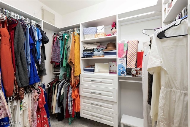 walk in closet with carpet flooring