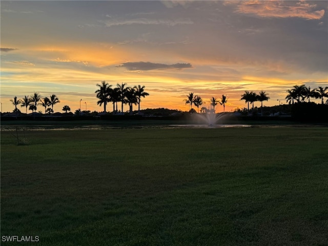 view of nature at dusk