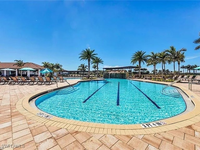 view of swimming pool with a patio