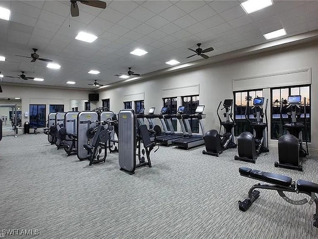 gym with carpet flooring and a paneled ceiling