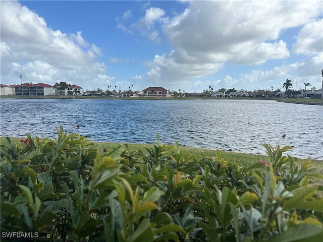 property view of water