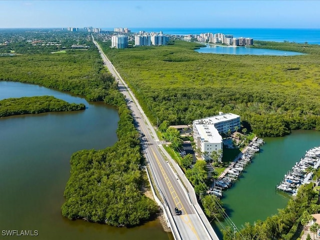 bird's eye view featuring a water view