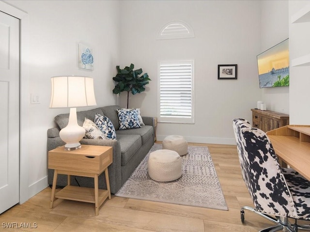 living room featuring light hardwood / wood-style flooring