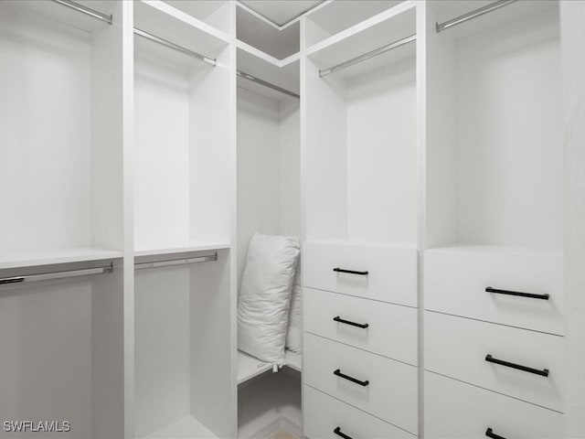 view of walk in closet