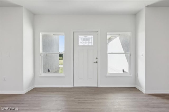 entrance foyer with light hardwood / wood-style floors and a healthy amount of sunlight