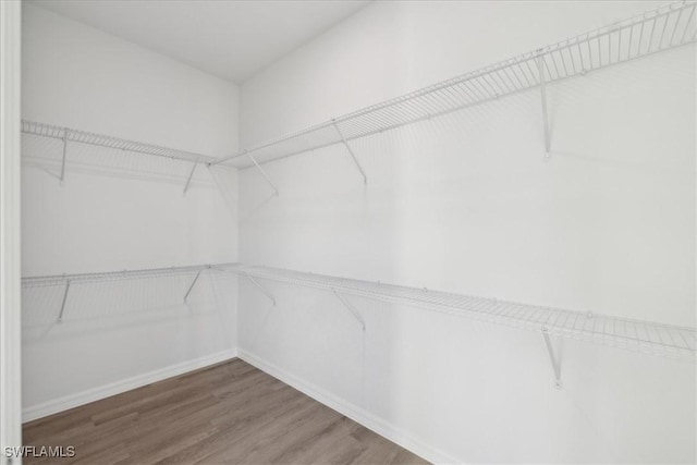 spacious closet featuring wood-type flooring