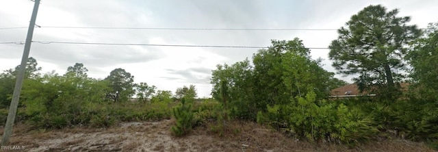 2903 Tena Ave N, Lehigh Acres FL, 33971 land for sale