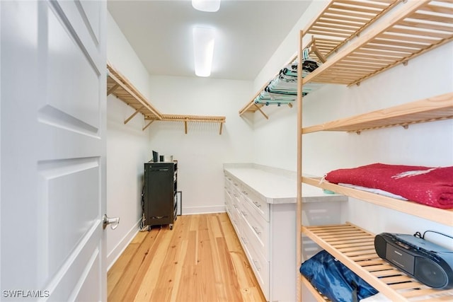 walk in closet featuring light hardwood / wood-style floors