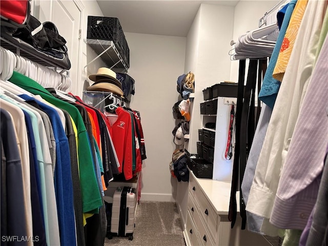 spacious closet with dark colored carpet