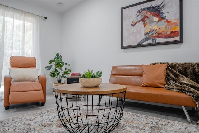 living area featuring hardwood / wood-style floors