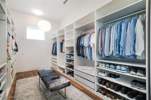 spacious closet featuring wood finished floors