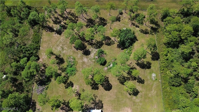 drone / aerial view featuring a rural view