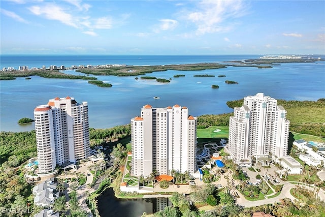 bird's eye view with a water view