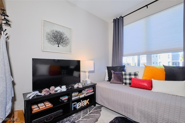 bedroom featuring carpet floors