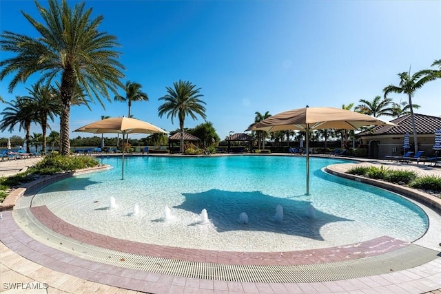 view of pool with pool water feature