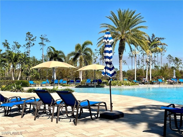 view of pool featuring a patio