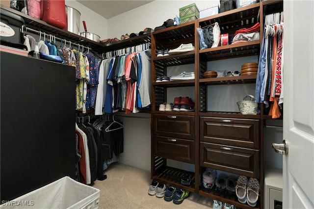 spacious closet with light colored carpet