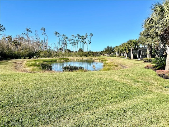 view of yard featuring a water view