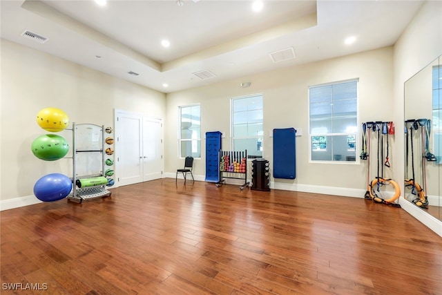 workout area featuring hardwood / wood-style floors and a tray ceiling