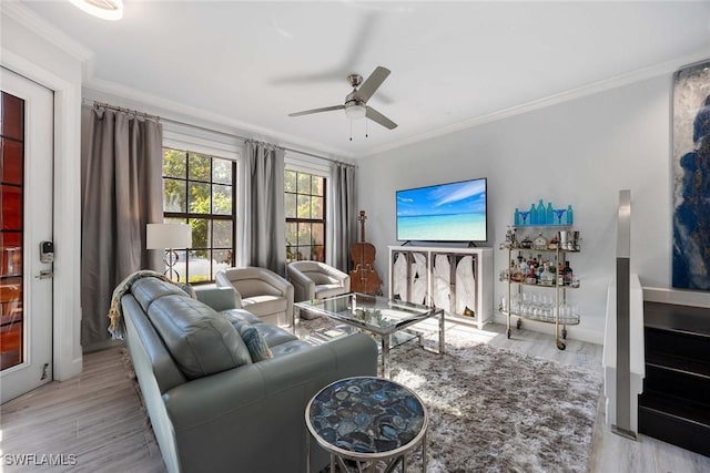 living room with ceiling fan, ornamental molding, and light wood-type flooring