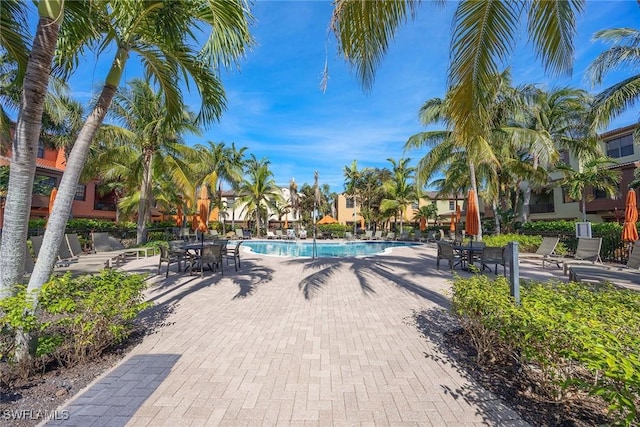 view of pool featuring a patio area