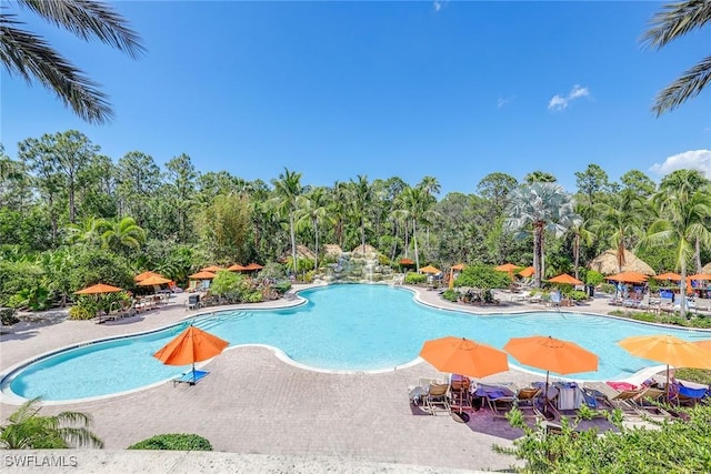 view of pool with a patio