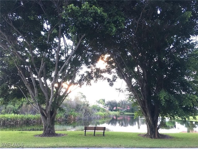 view of community with a water view and a lawn