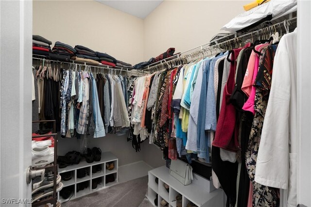 spacious closet featuring carpet