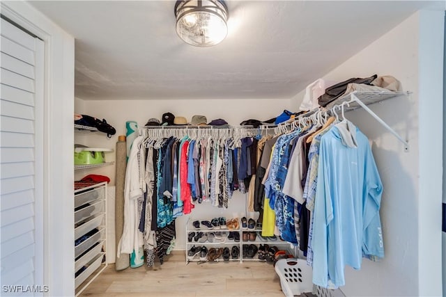 spacious closet with light hardwood / wood-style flooring