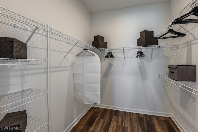 spacious closet with dark wood-type flooring