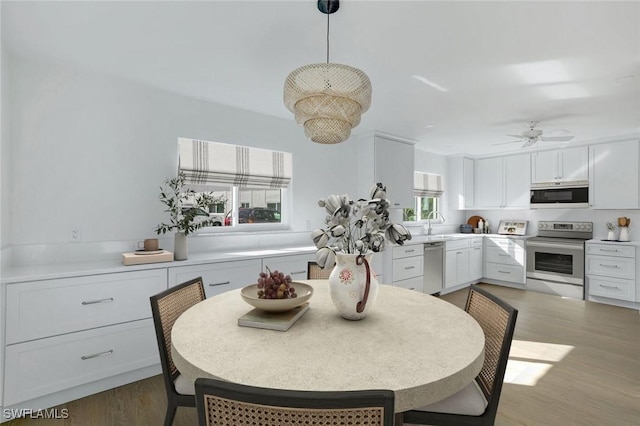 dining room featuring ceiling fan, light wood-type flooring, and sink