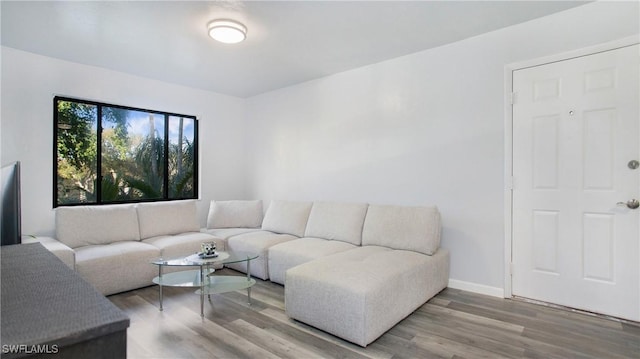 living room with hardwood / wood-style flooring