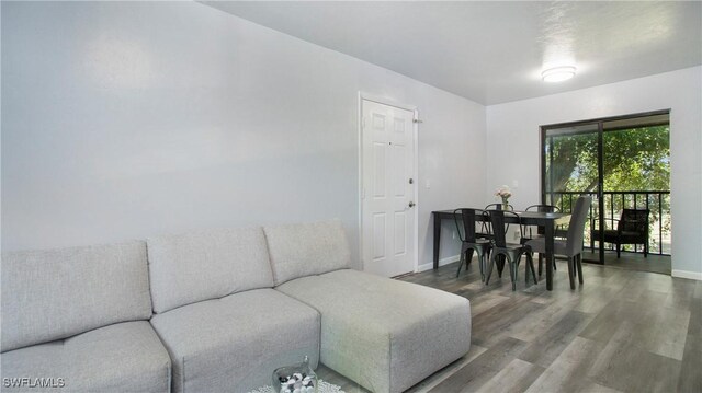 living room featuring wood-type flooring